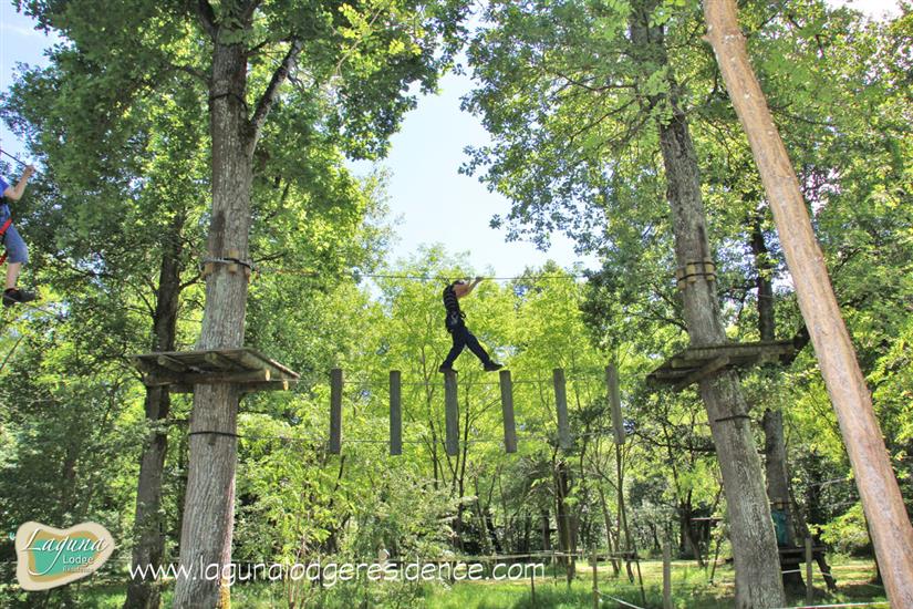 Boomklimparcours Parc Aventure La Gataudière dichtbij Laguna Lodge Résidence aan de Atlantische kust van Frankrijk