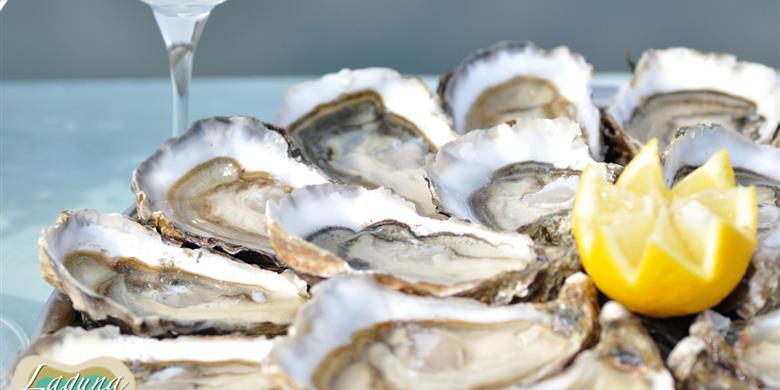 Oesters op de route touristique des huîtres dichtbij Laguna Lodge Résidence aan de Atlantische kust van Frankrijk