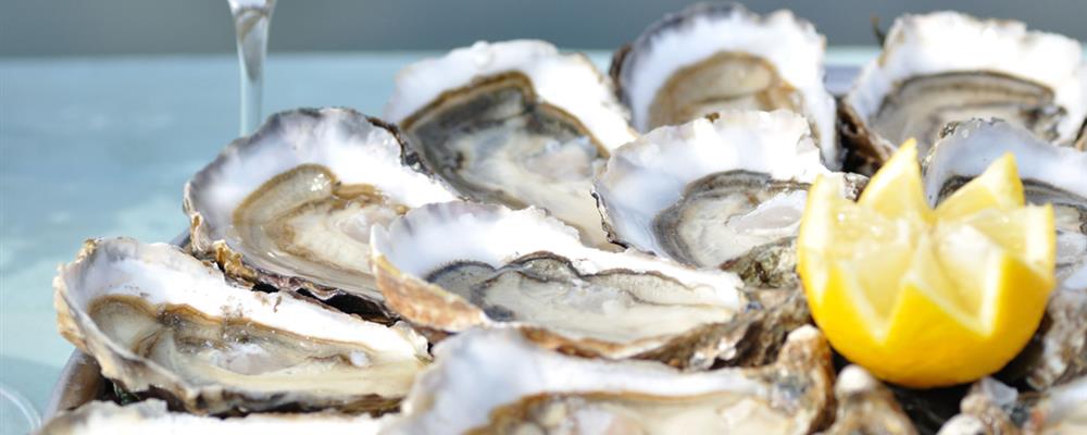 Oesters op de route touristique des huîtres dichtbij Laguna Lodge Résidence aan de Atlantische kust van Frankrijk