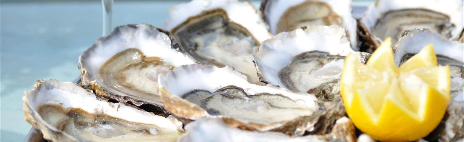 Oesters op de route touristique des huîtres dichtbij Laguna Lodge Résidence aan de Atlantische kust van Frankrijk