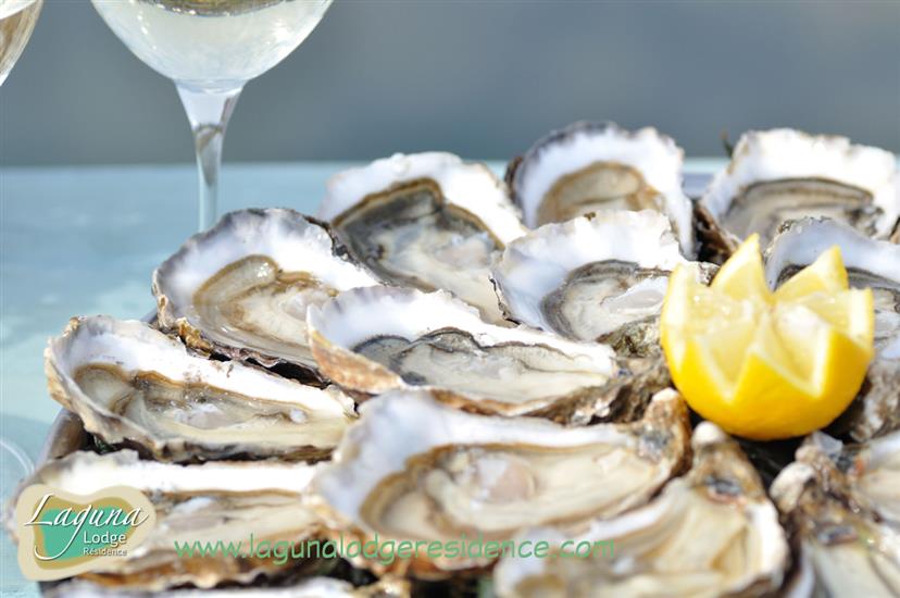 Oesters op de route touristique des huîtres dichtbij Laguna Lodge Résidence aan de Atlantische kust van Frankrijk