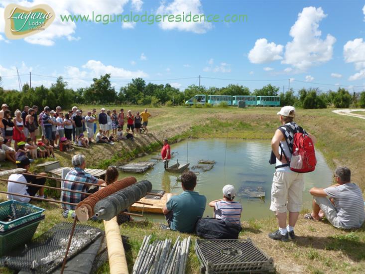 Rondleiding Cité de l'Huître in Marennes dichtbij Laguna Lodge Résidence aan de Atlantische kust van Frankrijk