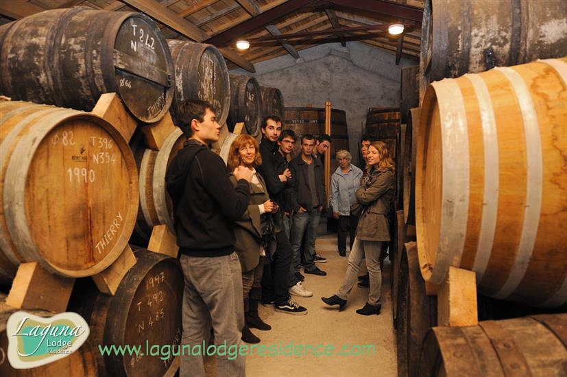 Domaines des claires Cognac en Pineau dichtbij Laguna Lodge Résidence aan de Atlantische kust van Frankrijk