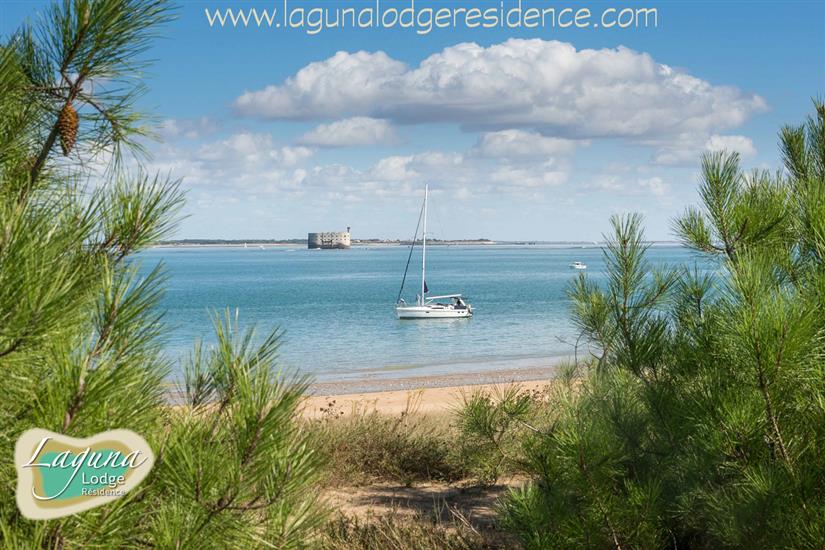 Strand in Boyarville, Île d'Oléron, Atlantische kust, Frankrijk