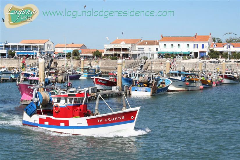 Haven van La Cotinière - Île d'Oléron in Frankrijk - Atlantische kust