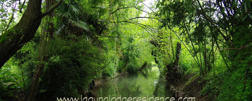 Bezoek de Marais Poitevin - Atlantische kust - Frankrijk