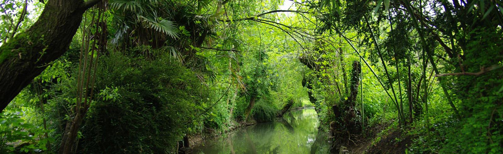 Bezoek de Marais Poitevin - Atlantische kust - Frankrijk