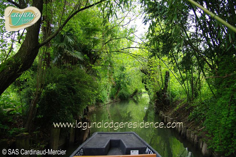 Bezoek de Marais Poitevin - Atlantische kust - Frankrijk